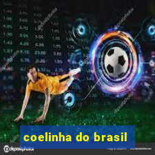 coelinha do brasil